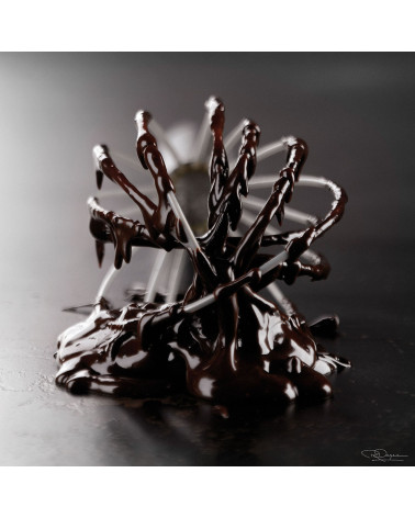 Fouet au chocolat de Patrick Rougereau