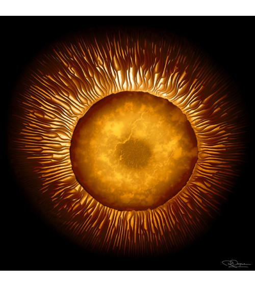 Eclipsa solaire de Patrick Rougereau